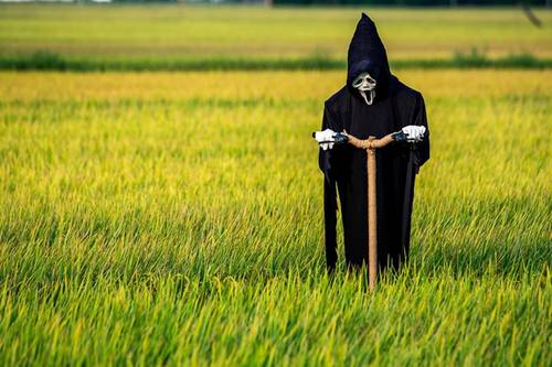 Chiêm bao thấy bù nhìn là số mấy? Đánh con bao nhiêu?