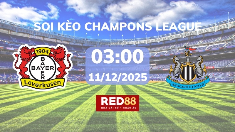 Soi kèo Bayer Leverkusen vs Newcastle – 03h00 – 11/12 – Champions League